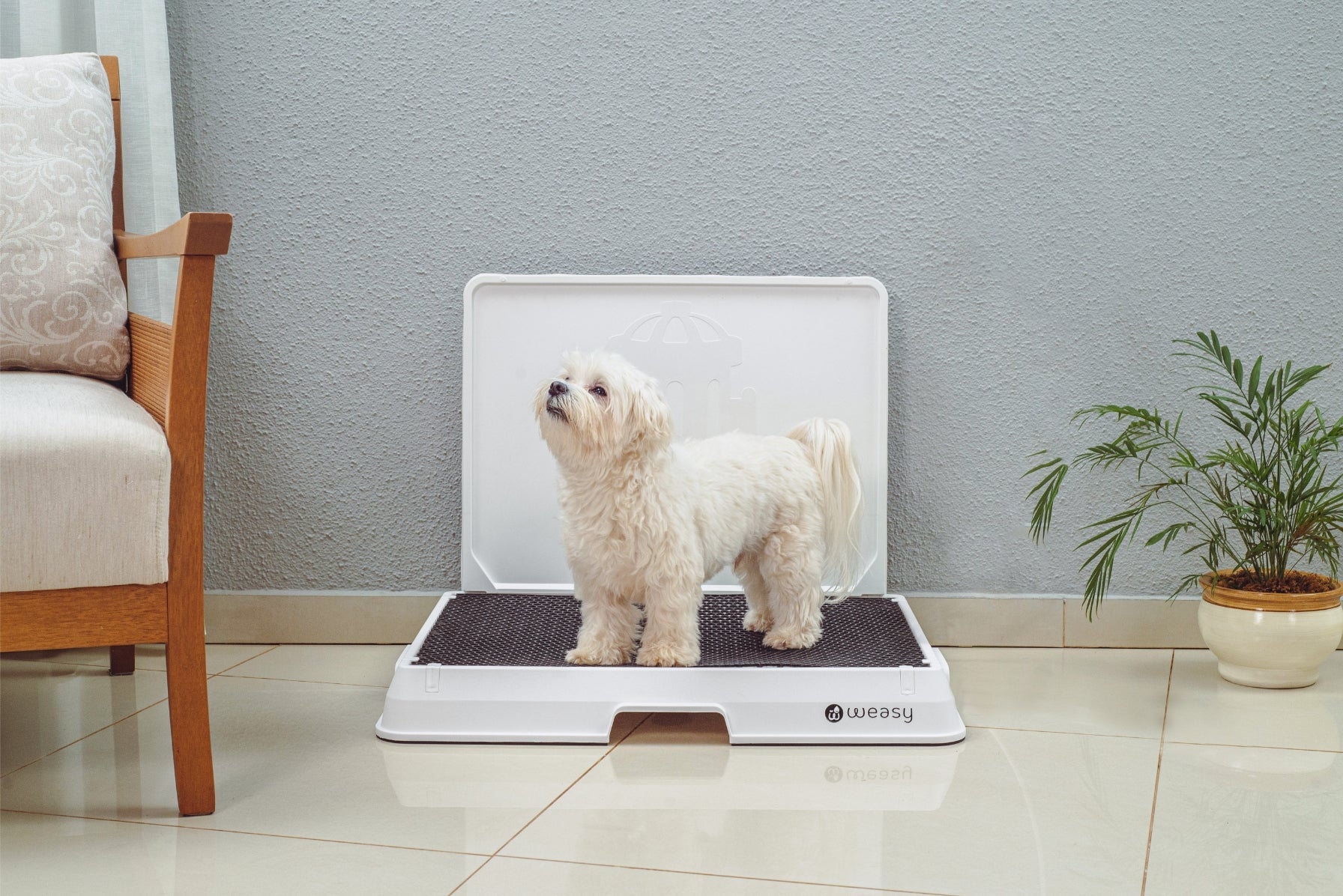 Weasy Smart Dog Potty