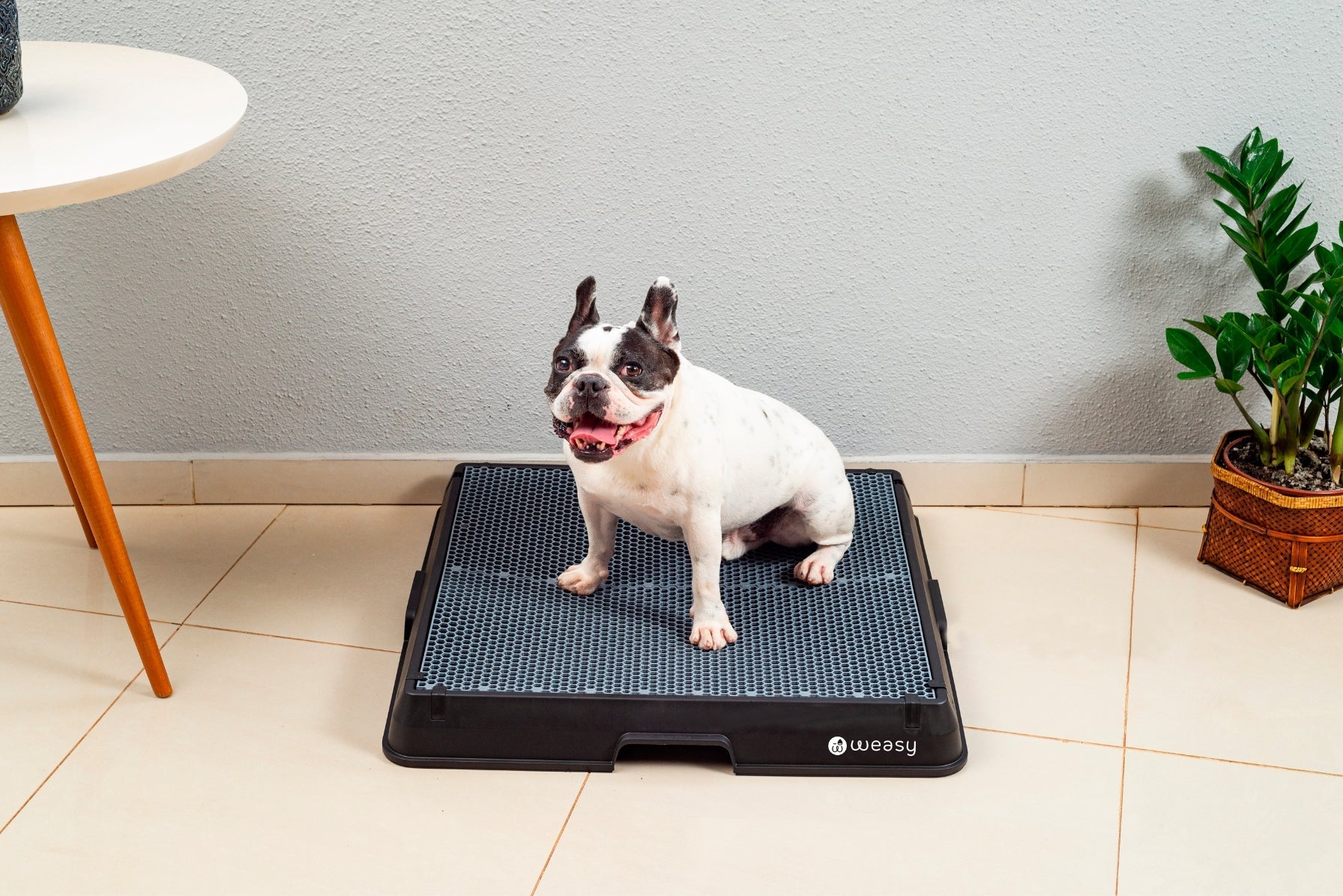 Weasy Smart Dog Potty