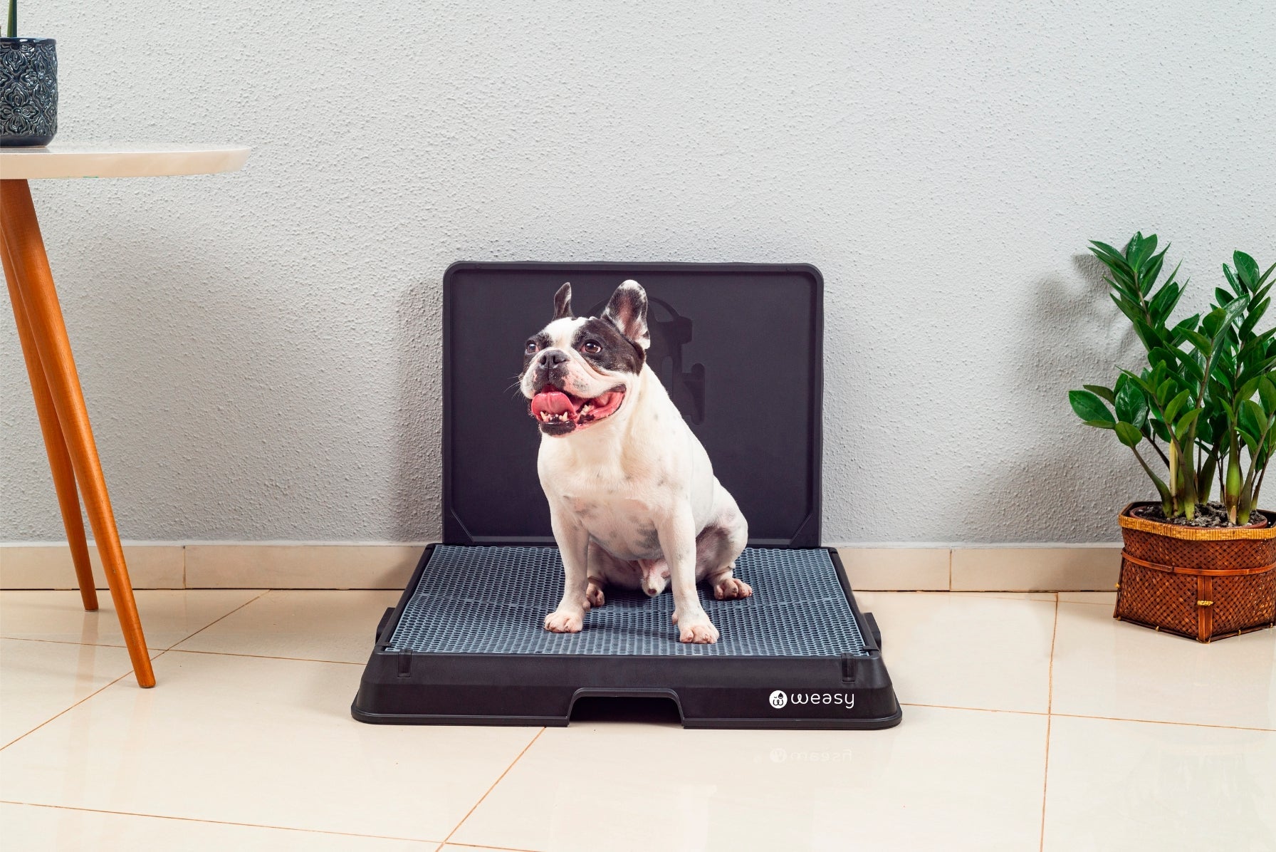 Weasy Smart Dog Potty