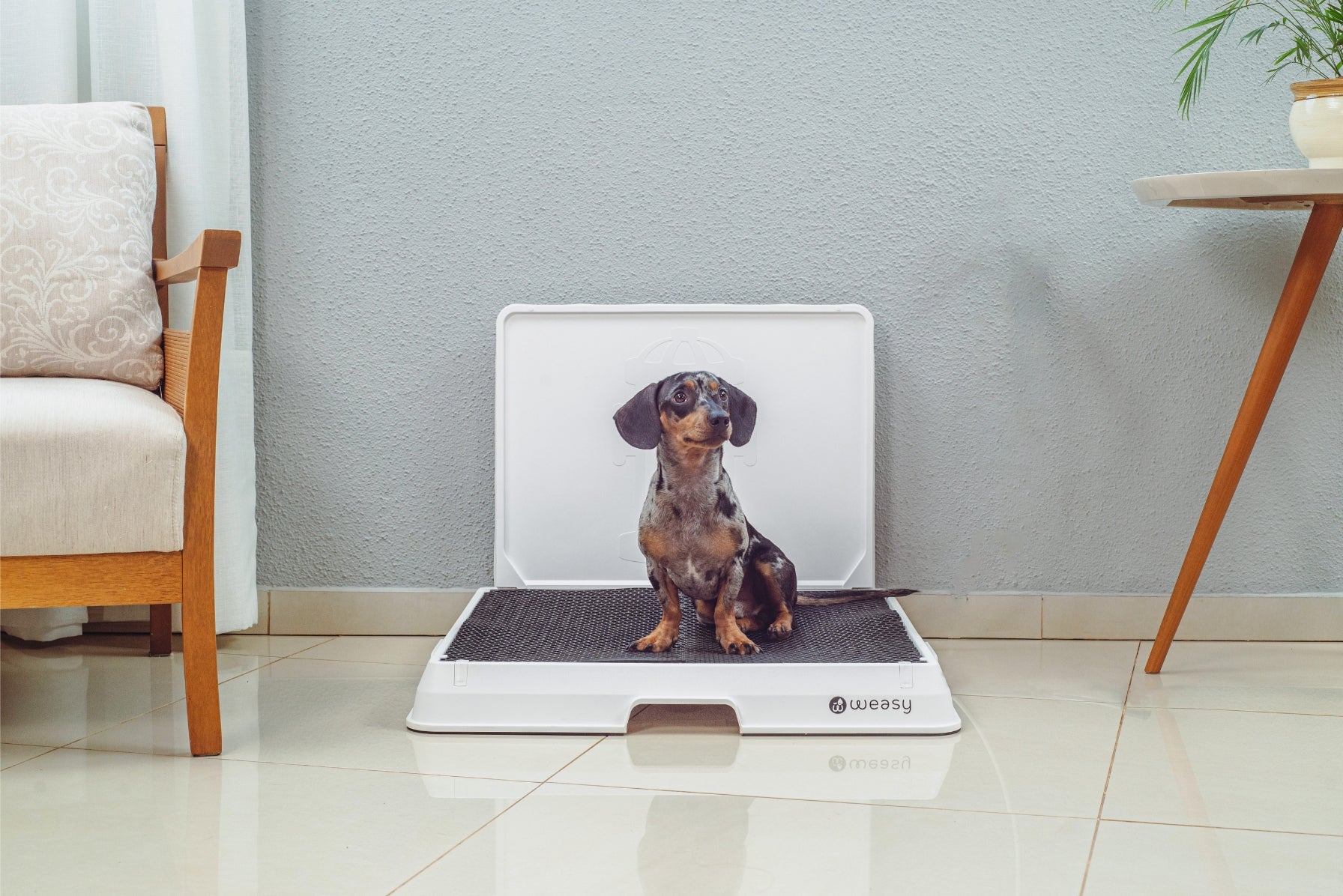 Weasy Smart Dog Potty