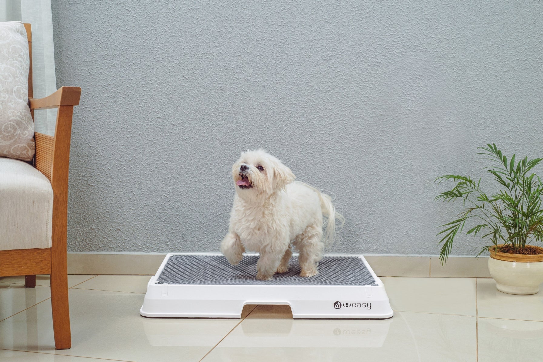 Weasy Smart Dog Potty