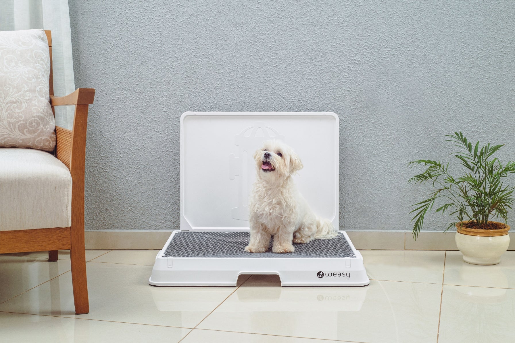 Weasy Smart Dog Potty