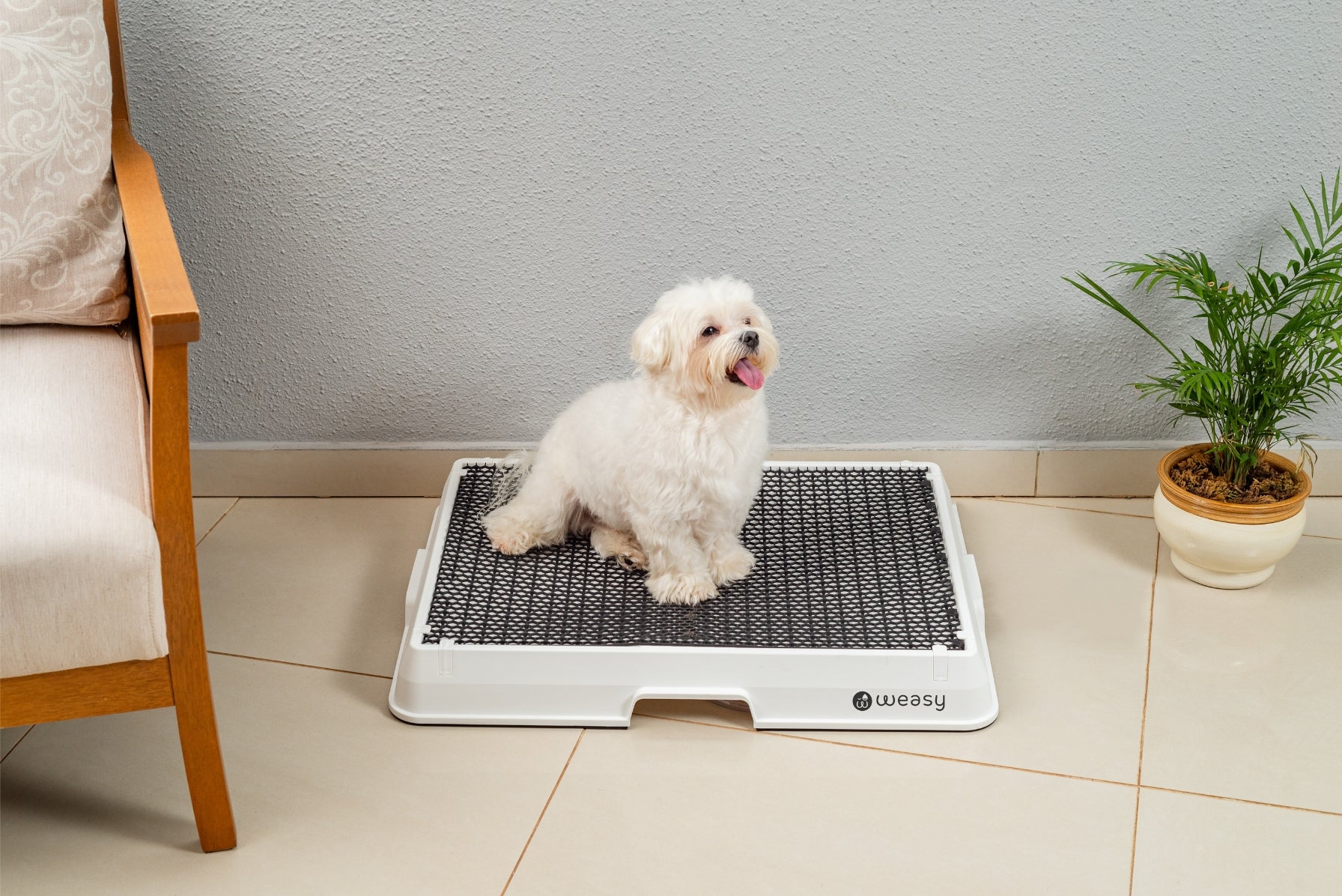 Weasy Smart Dog Potty