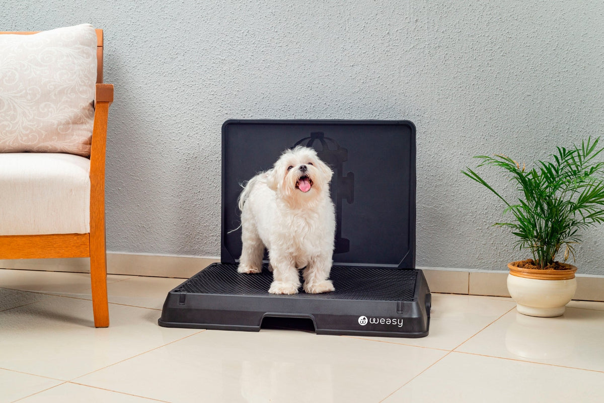 Weasy Smart Dog Potty