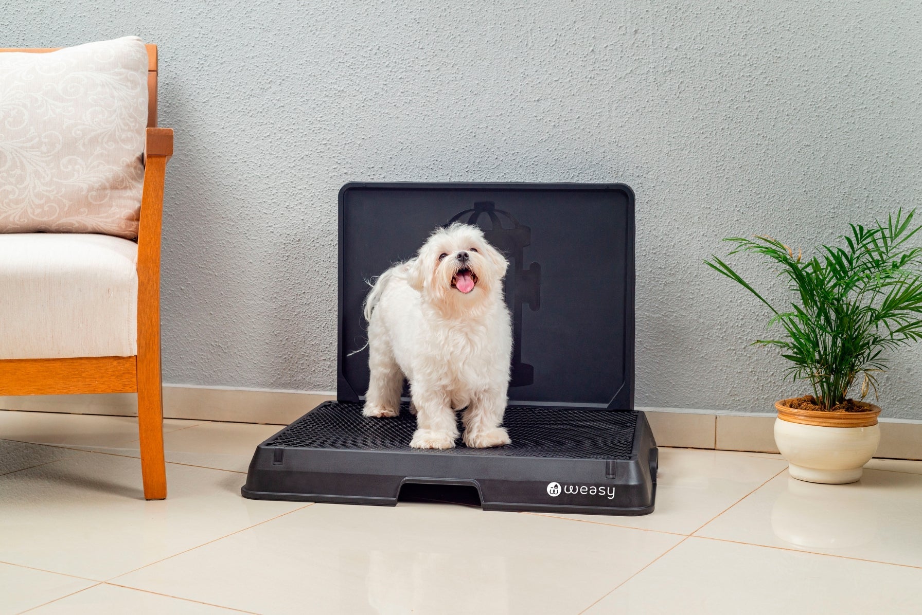 Weasy Smart Dog Potty