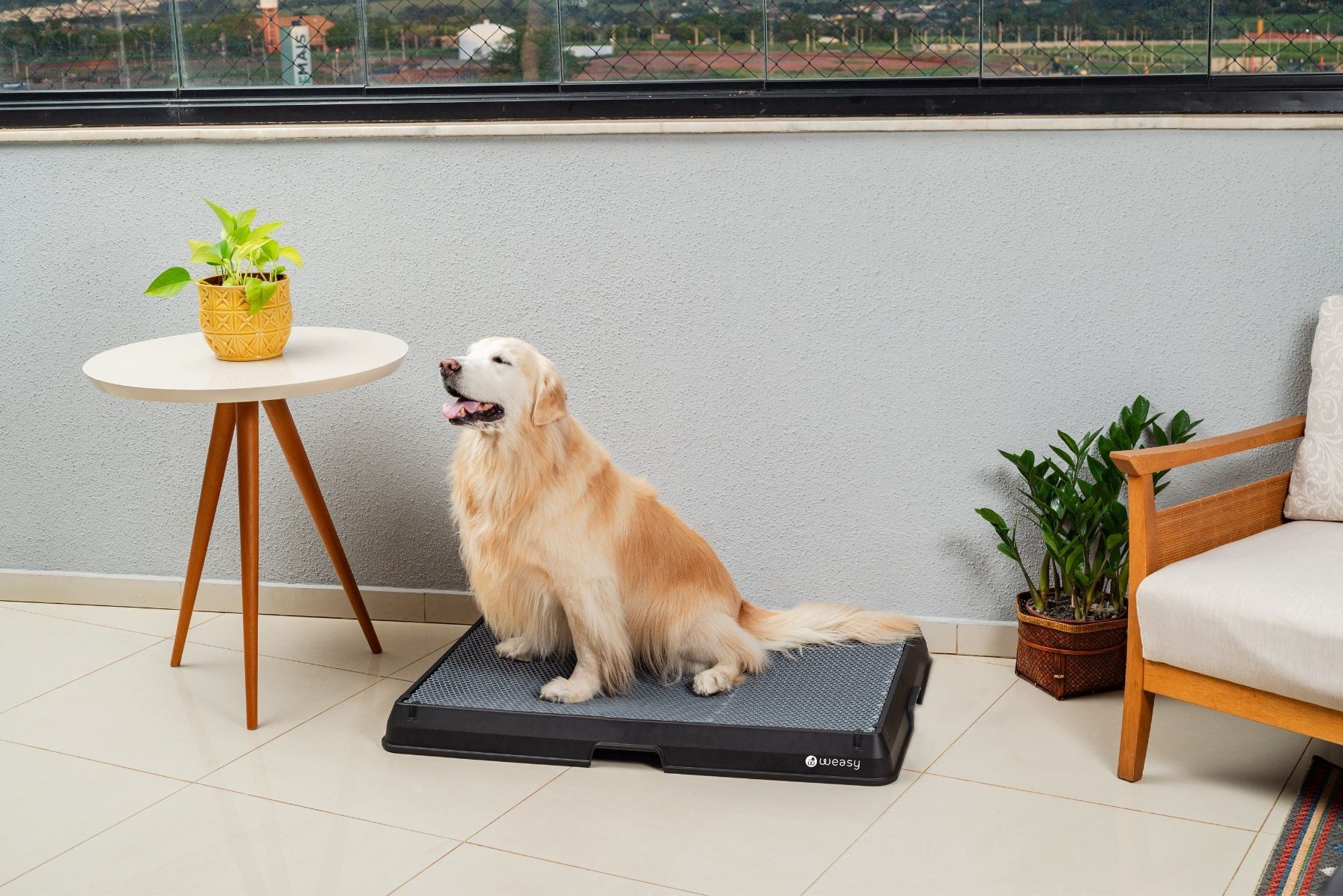 Weasy Smart Dog Potty