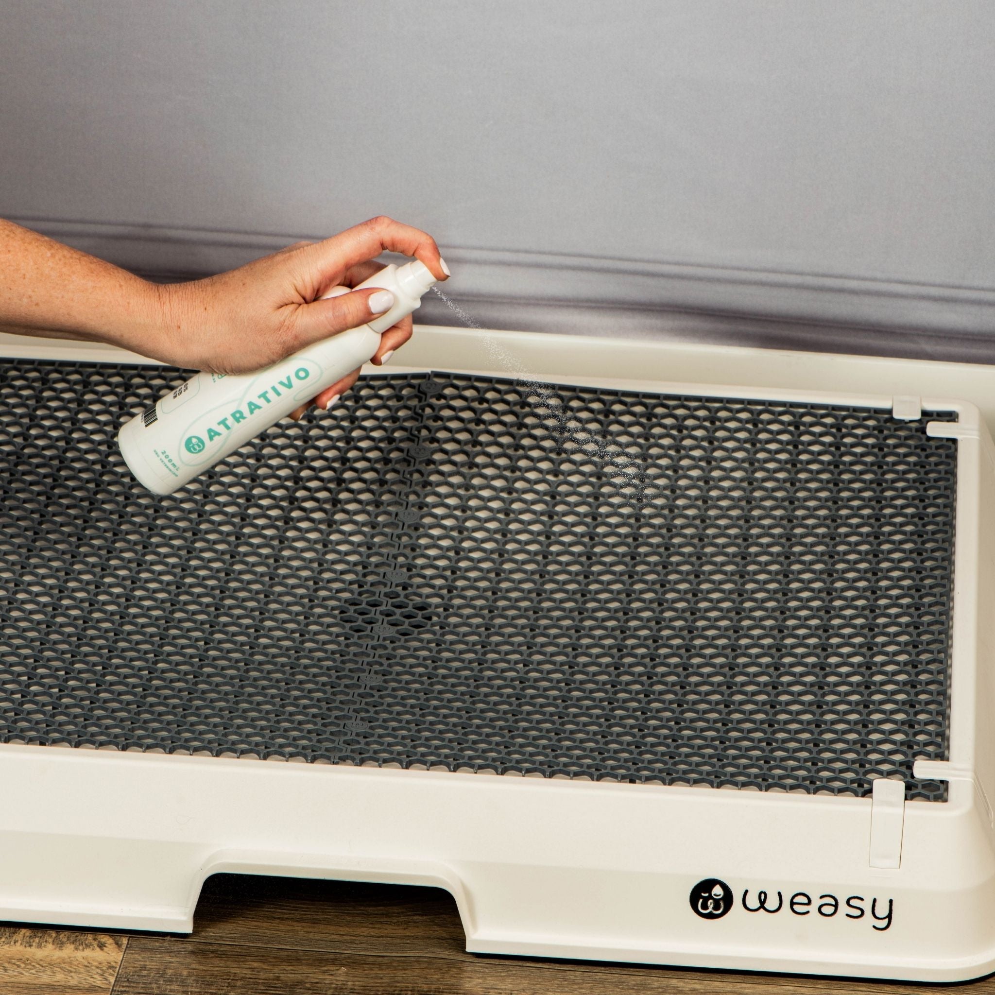 Weasy Potty Training