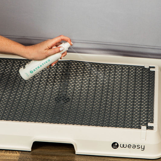 Weasy Potty Training