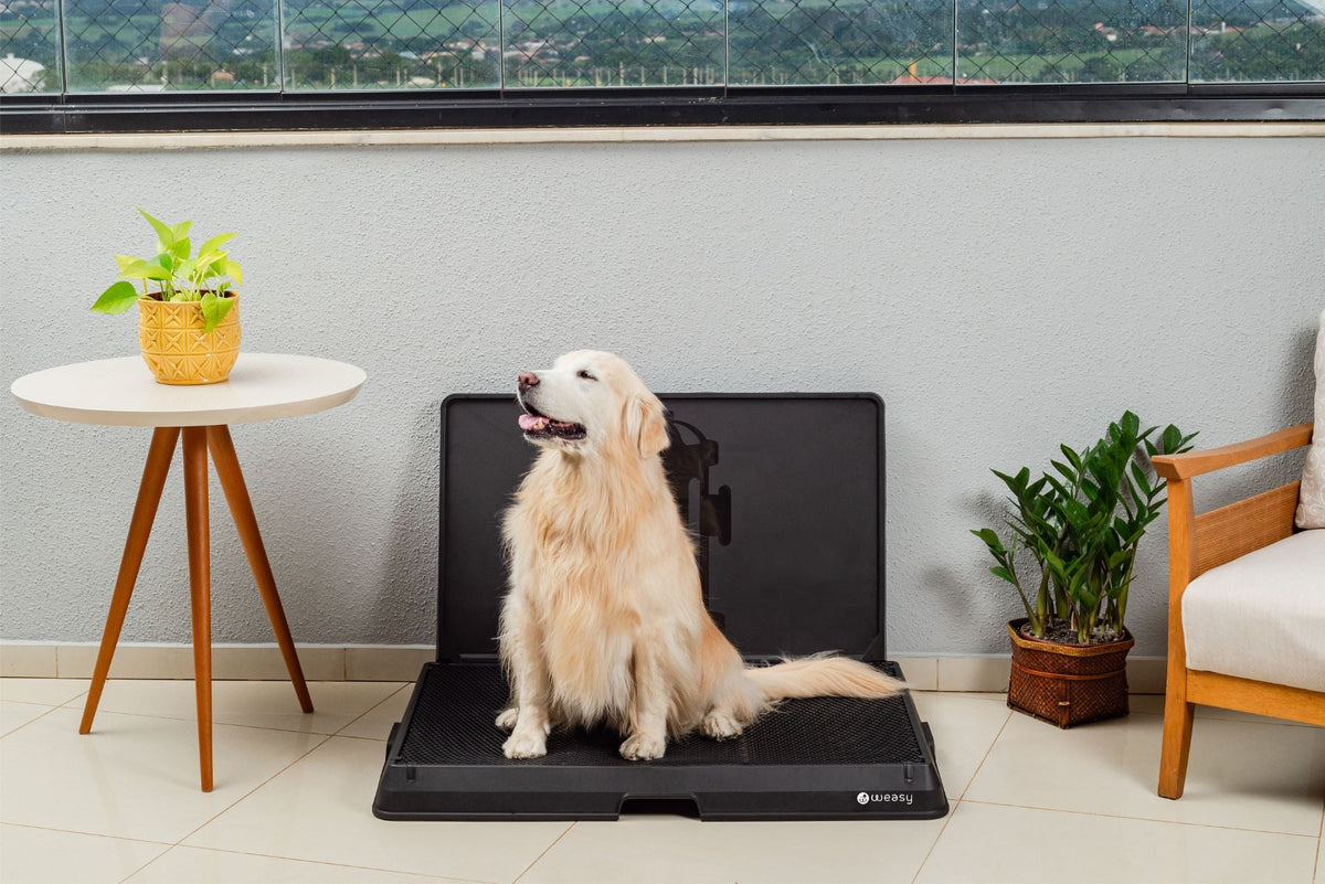 Weasy Smart Dog Potty